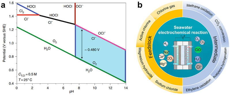 海水電化學：開啟綠色燃料與化學品合成新路徑