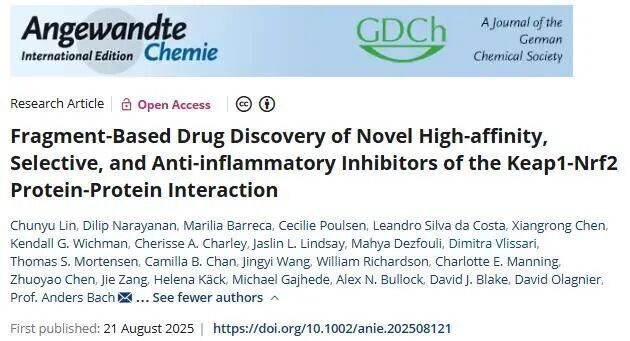 Angew. Chem. Int. Ed. | 基于片段的藥物發(fā)現(xiàn)策略篩選Keap1-Nrf2蛋白互作的抗炎抑制劑