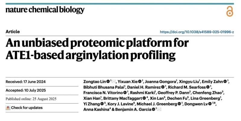 Nat. Chem. Biol. | 用于ATE1催化的精氨酸化修飾的無偏標記平臺