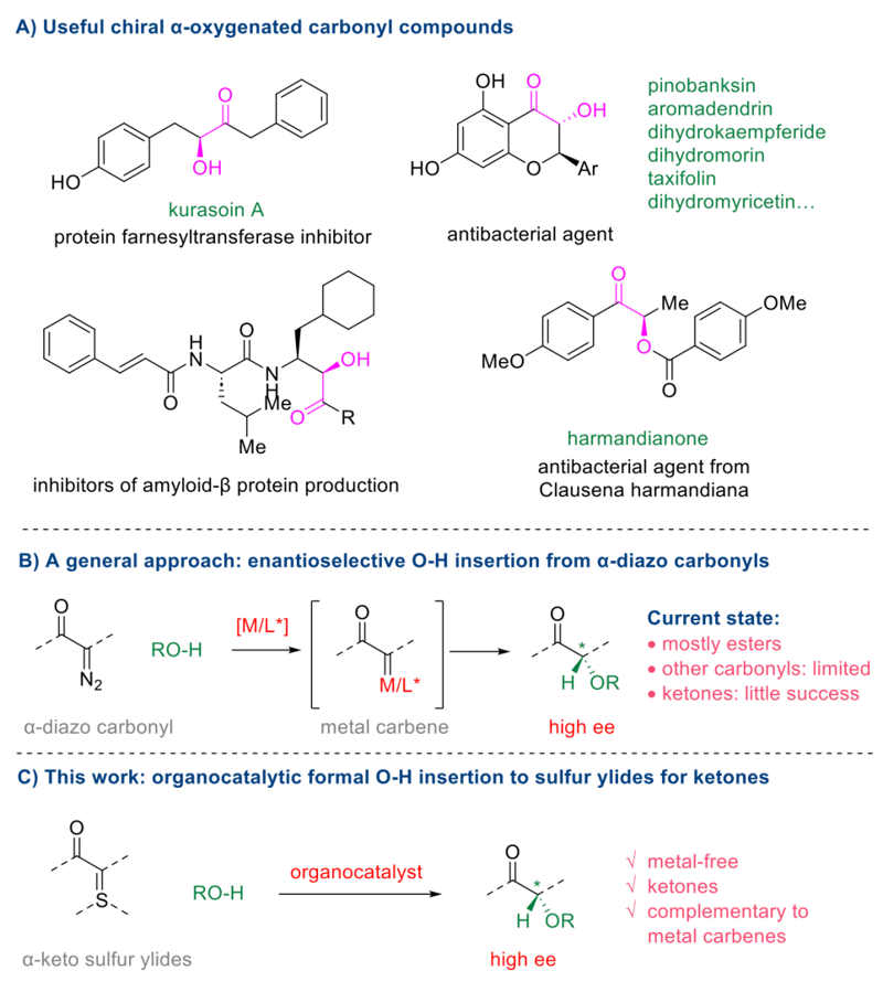 JACS：有機(jī)催化硫葉立德的 O-H 插入實(shí)現(xiàn)α-氧代酮的對(duì)映選擇性合成