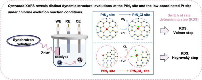 華南師范大學蘭亞乾教授/嚴勇教授Angew: 原位XAFS探究低配位鉑單原子在析氯反應中的動態演變