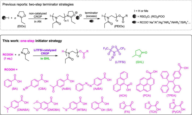 JACS | 離子交換催化劑活化下羧酸引發(fā)2-惡唑啉的陽(yáng)離子開環(huán)聚合