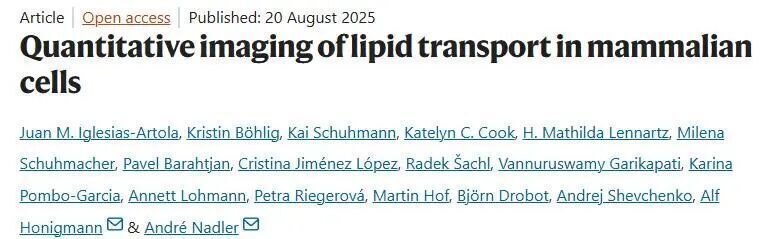 Nature | 哺乳動物細胞中脂質轉運的定量成像