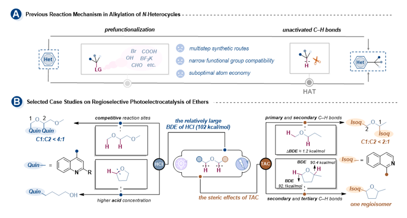 Angew. Chem. ：光電催化下多聯(lián)吡啶鈷配合物介導(dǎo)的含氮、氧脂肪族化合物高區(qū)域選擇性α-雜芳基化反應(yīng)