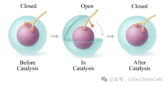 內(nèi)大沈慧&重大唐青&山西師大張麗敏：原子動態(tài)表面使配體保護(hù)的非鉑團(tuán)簇實現(xiàn)高效電化學(xué)產(chǎn)氫
