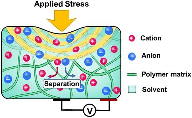 香港城市大學(xué)何慶頌副教授團(tuán)隊：離子壓電效應(yīng)-力電轉(zhuǎn)換在傳感、生物界面以及能量收集上的應(yīng)用