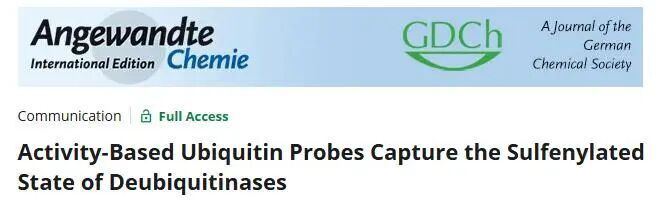 Angew. Chem. Int. Ed. | 基于活性的泛素探針捕獲去泛素酶的次磺酸化修飾狀態(tài)