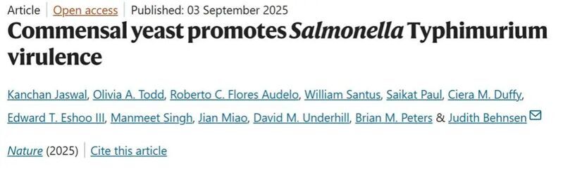 Nature | 共生酵母促進(jìn)鼠傷寒沙門氏菌的毒力