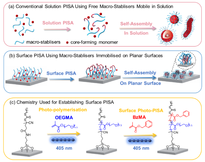 Angew. Chem.：表面聚合誘導自組裝（Surface PISA）調控材料表面形貌及其抗污抗菌應用