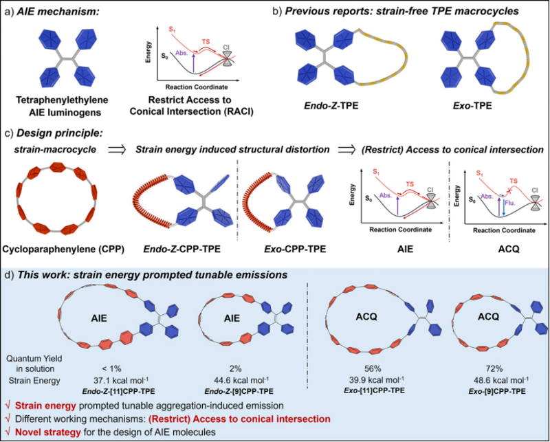 Angew. Chem.: 張力調(diào)控的四苯乙烯聚集誘導(dǎo)發(fā)光