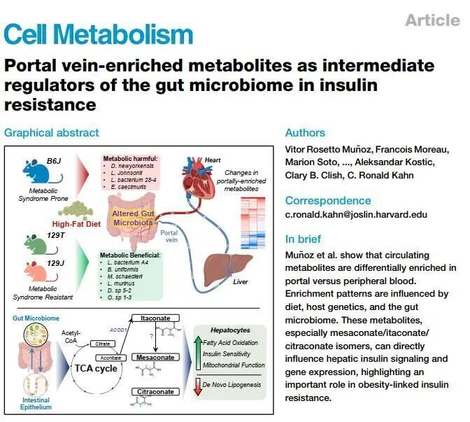 Cell Metab. | 門靜脈富集的代謝物是胰島素抵抗腸道微生物組的中間體調節劑