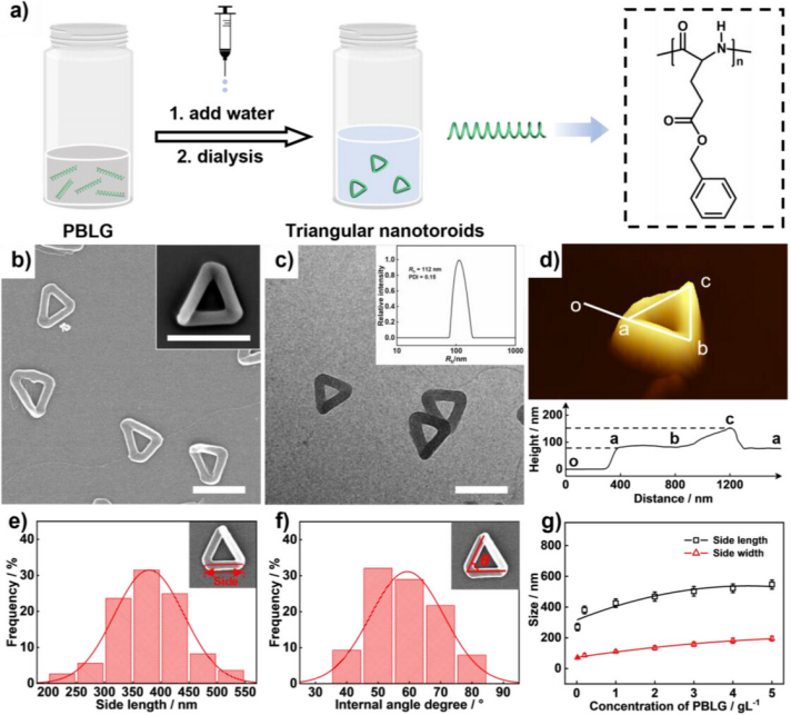 Angew. Chem. Int. Ed. | 由多肽均聚物自組裝形成三角形納米粒子