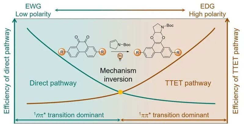 南京林業大學JACS：可見光驅動光點擊反應機制調控研究 
