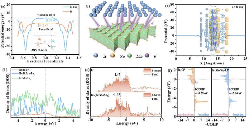 馮立綱課題組：功函數(shù)誘導(dǎo)內(nèi)置電場助力Ir/MoSe2高效催化PEM水電解