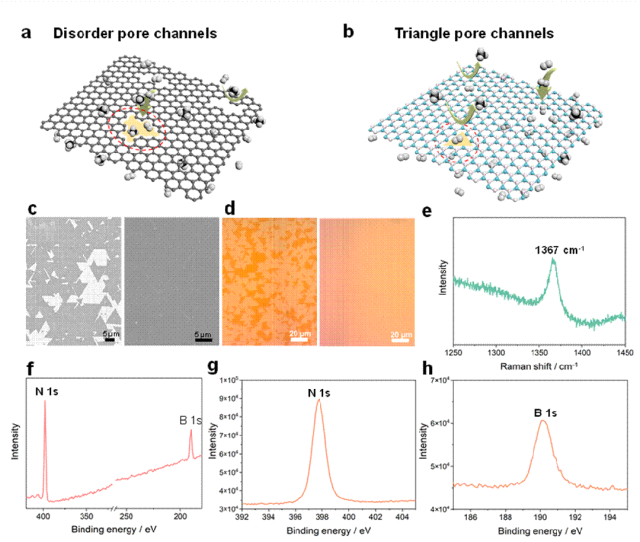 天津大學姜忠義和何光偉課題組Angew：單原子層氮化硼分子篩膜