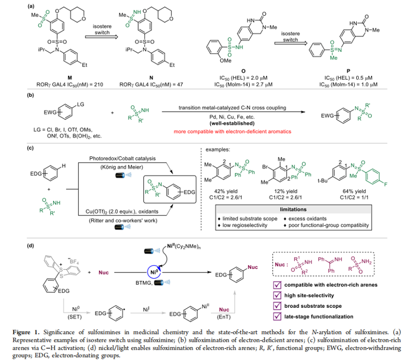 中國海洋大學王洪玉教授/嶗山國家實驗室唐波教授 ACS Catal.: 鎳/光驅動催化可實現富電子芳烴的位點選擇性亞砜亞胺化