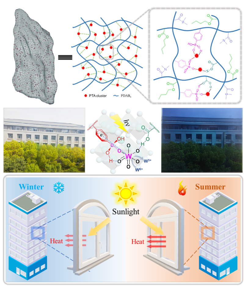 Angew. Chem.：基于B─O─W配位鎖合策略實(shí)現(xiàn)高透明優(yōu)異調(diào)光能力光致變色涂層