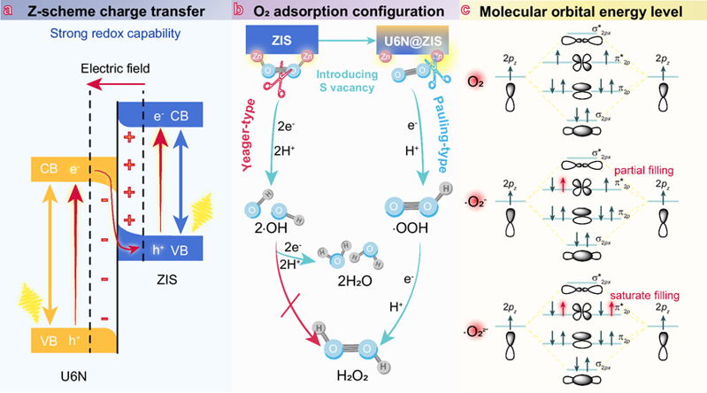 山東大學張清哲研究員團隊Nature Commun:太陽能驅動純水產過氧化氫及廢水殺菌