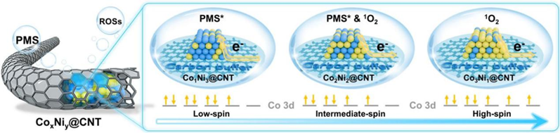 Angew. Chem. ：調控碳納米層緩沖CoxNiy合金的電子結構動態演化以實現活性氧物種選擇性生成