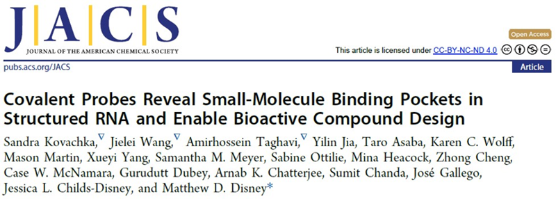 J. Am. Chem. Soc. | 共價探針揭示RNA的小分子結合口袋