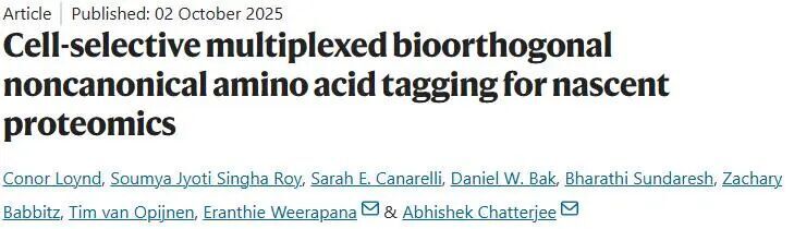 Nat. Chem. Biol. | 基于細(xì)胞選擇性多重生物正交非經(jīng)典氨基酸標(biāo)記的新生蛋白質(zhì)組學(xué)