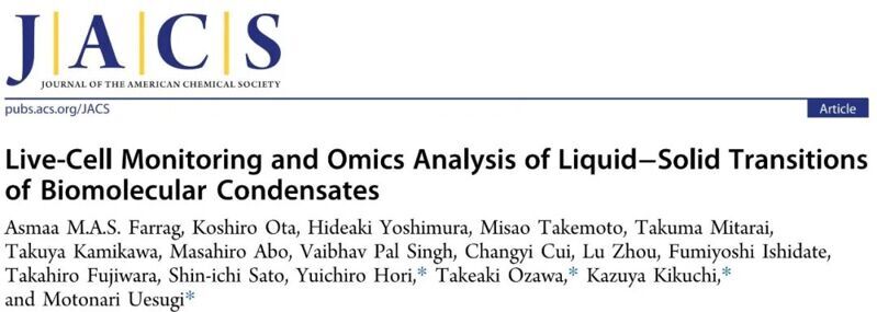J. Am. Chem. Soc. | 生物大分子凝聚物液-固相轉(zhuǎn)變的活細(xì)胞監(jiān)測與組學(xué)分析
