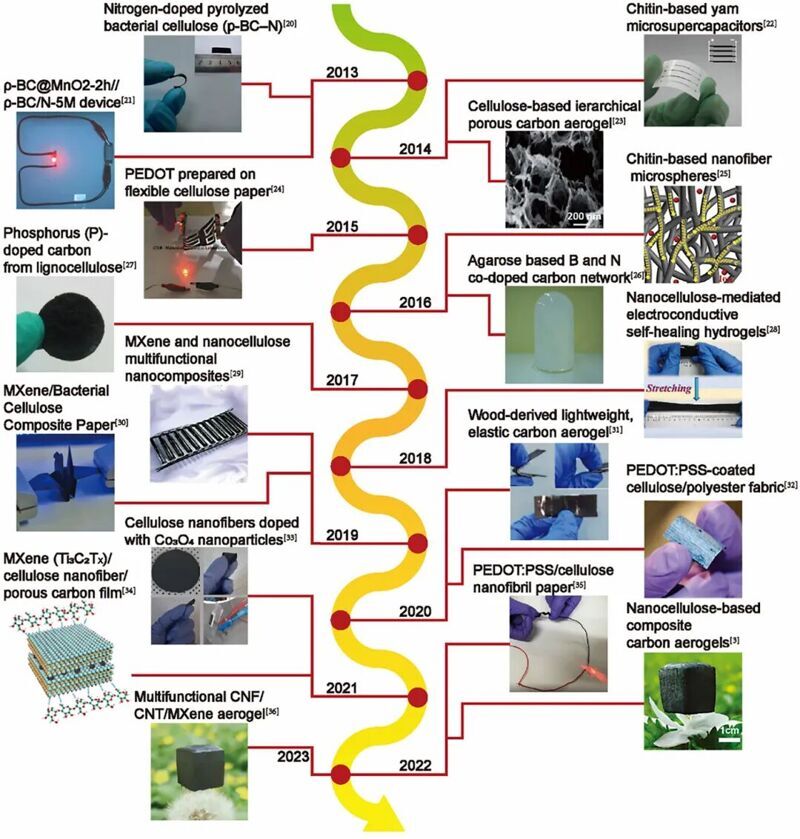 天津科技大學司傳領教授、徐婷副教授&南京林業大學蔡旭敏副教授團隊：先進超級電容器用生物質材料:原理、進展與展望
