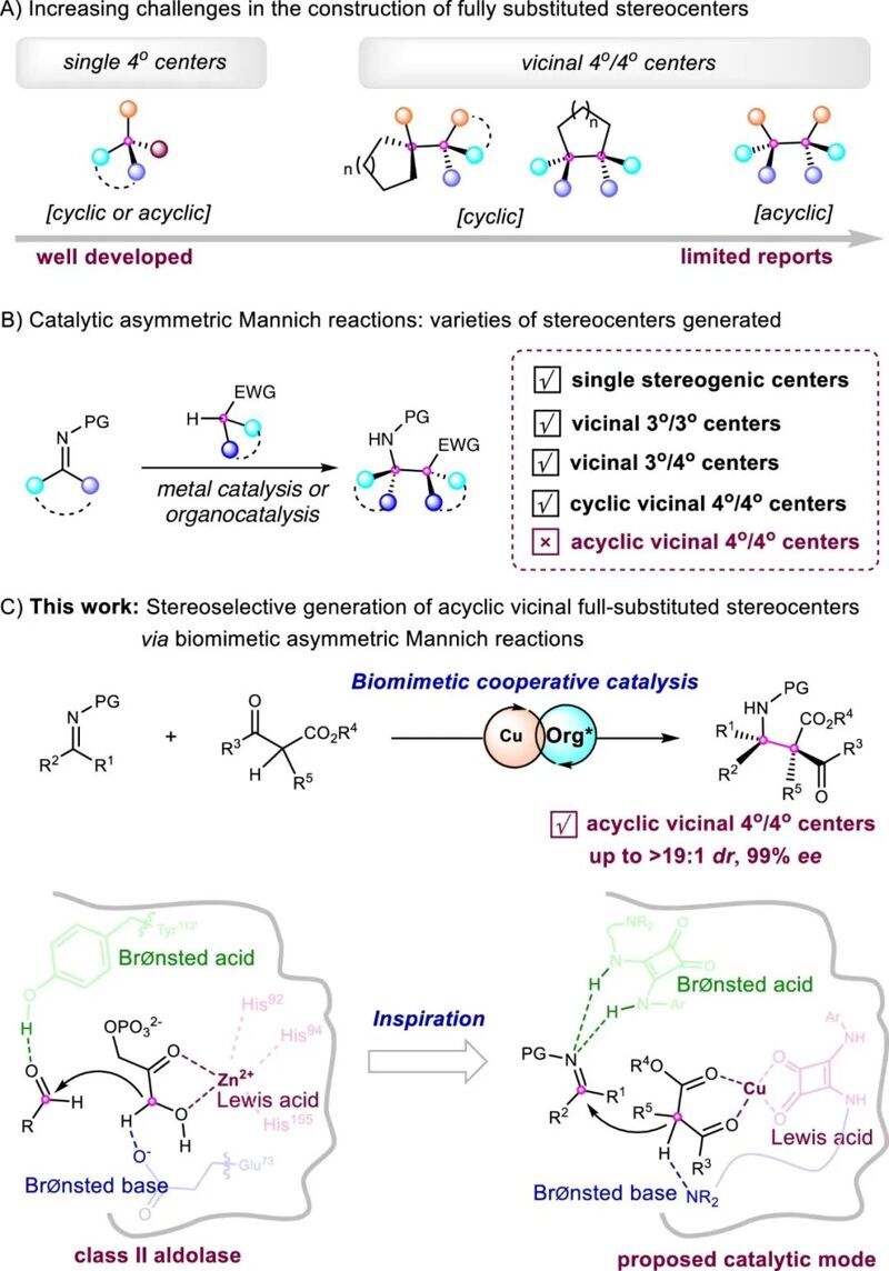中山大學翁江/魯桂&南科大余沛源Nature子刊 | 仿生銅/方酰胺協同催化不對稱Mannich反應！