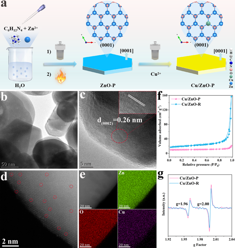 南京工業大學王軍課題組AFM賞析：極性表面暴露與銅摻雜協同增強ZnO納米片內建電場以實現高效光催化甲烷氧化