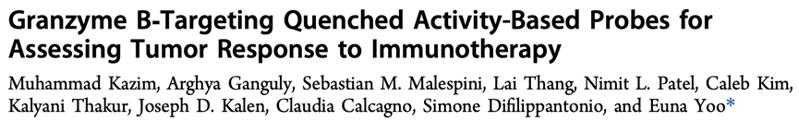 J. Am. Chem. Soc. | 通過顆粒酶B的淬滅活性探針評估腫瘤對免疫治療的響應