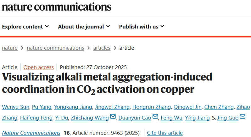 北師大&北理&北大最新Nature子刊：可視化堿金屬活化CO2過程！