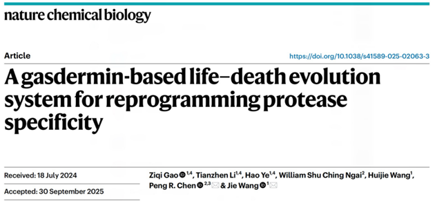 Nat. Chem. Biol. | 基于gasdermin的“生死選擇”進化體系用于重編程蛋白酶特異性