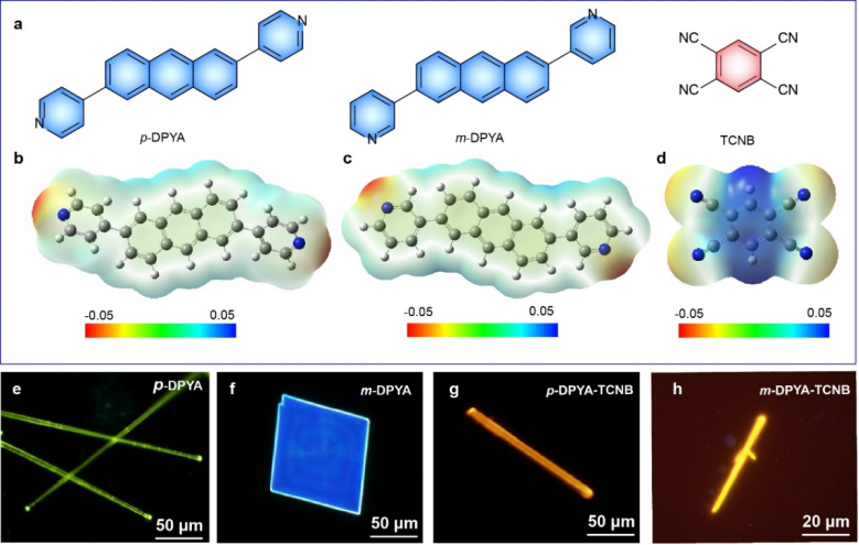 Angew. Chem.：通過共晶-鹽-共晶轉化實現的酸響應型雙光子吸收開關