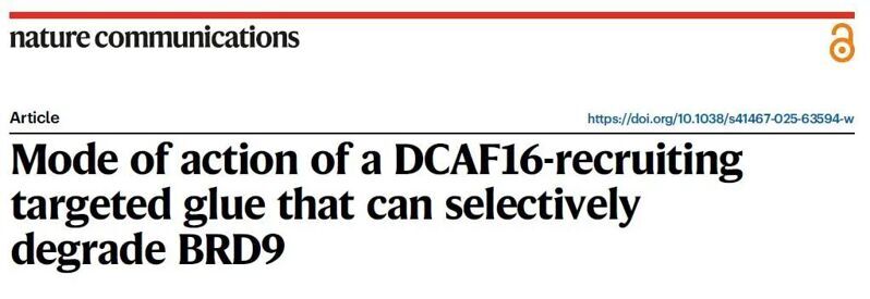 Nat. Commun. | DCAF16募集型靶向分子膠的選擇性降解BRD9