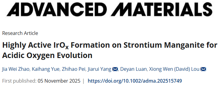 港城大樓雄文最新AM：錳酸鍶表面構建高活性IrOx促酸性OER