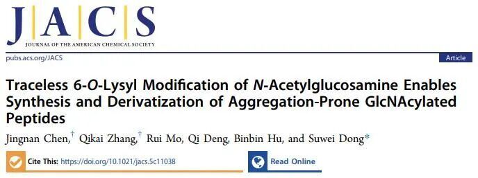 J. Am. Chem. Soc. | 通過N-乙酰氨基葡萄糖的無痕6-O-賴氨酰化掩蔽實(shí)現(xiàn)易聚集葡糖酰化肽段的合成和衍生化
